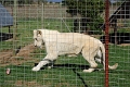 07_la_barrique_042