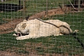 07_la_barrique_044
