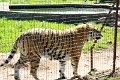 07_la_barrique_045