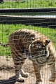 07_la_barrique_046