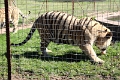 07_la_barrique_049