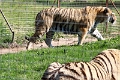 07_la_barrique_050