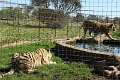 07_la_barrique_051