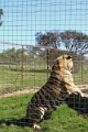 07_la_barrique_052