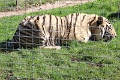 07_la_barrique_054