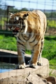 07_la_barrique_056