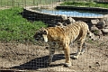 07_la_barrique_057
