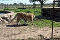 07_la_barrique_061