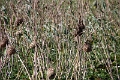 07_la_barrique_063