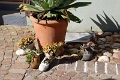 07_la_barrique_066