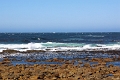 10_le_cap_027