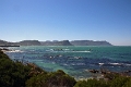 11_pingouins_008