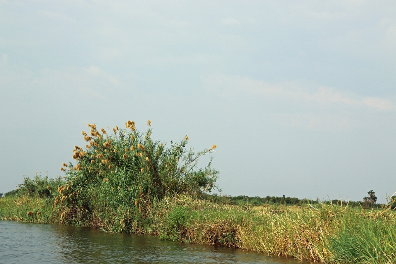 19_zambese_070.jpg