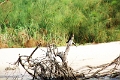 19_zambese_097
