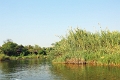 23_impalila_island_002