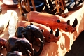 23_impalila_island_038