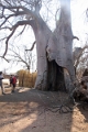 23_impalila_island_102