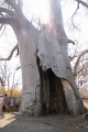 23_impalila_island_103