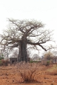 23_impalila_island_107