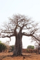 23_impalila_island_108