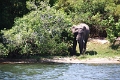 25_dejeuner_zambese_004