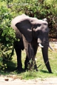 25_dejeuner_zambese_007