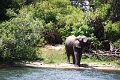 25_dejeuner_zambese_011