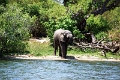 25_dejeuner_zambese_013