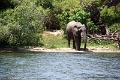 25_dejeuner_zambese_014