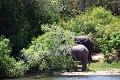 25_dejeuner_zambese_015