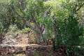 25_dejeuner_zambese_018