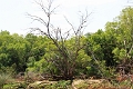 25_dejeuner_zambese_019