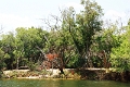 25_dejeuner_zambese_020