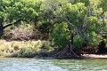 25_dejeuner_zambese_021