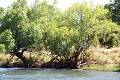 25_dejeuner_zambese_022