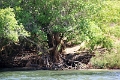 25_dejeuner_zambese_023