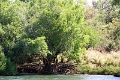 25_dejeuner_zambese_024