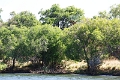 25_dejeuner_zambese_025