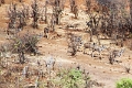 27_victoria_falls_006