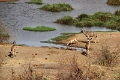 27_victoria_falls_018