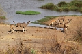 27_victoria_falls_019