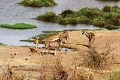 27_victoria_falls_020