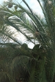 27_victoria_falls_023