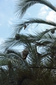 27_victoria_falls_026