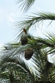 27_victoria_falls_028