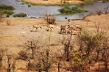 27_victoria_falls_030