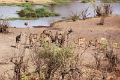 27_victoria_falls_038