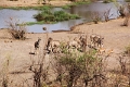 27_victoria_falls_039