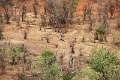 27_victoria_falls_040