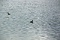 03-lac_san_pablo_002
